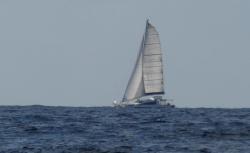 Catamaran Havachat sailing north